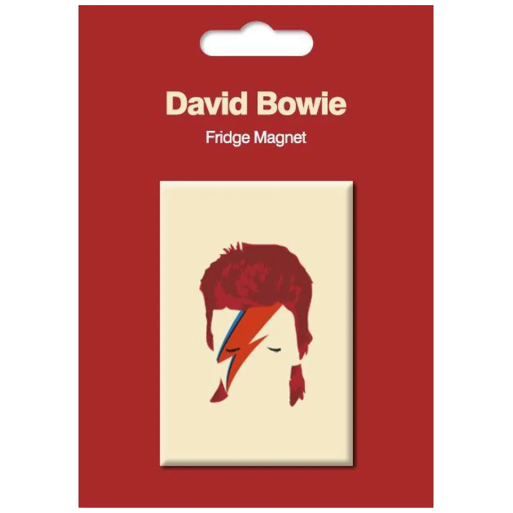 MAGNETE DAVID BOWIE