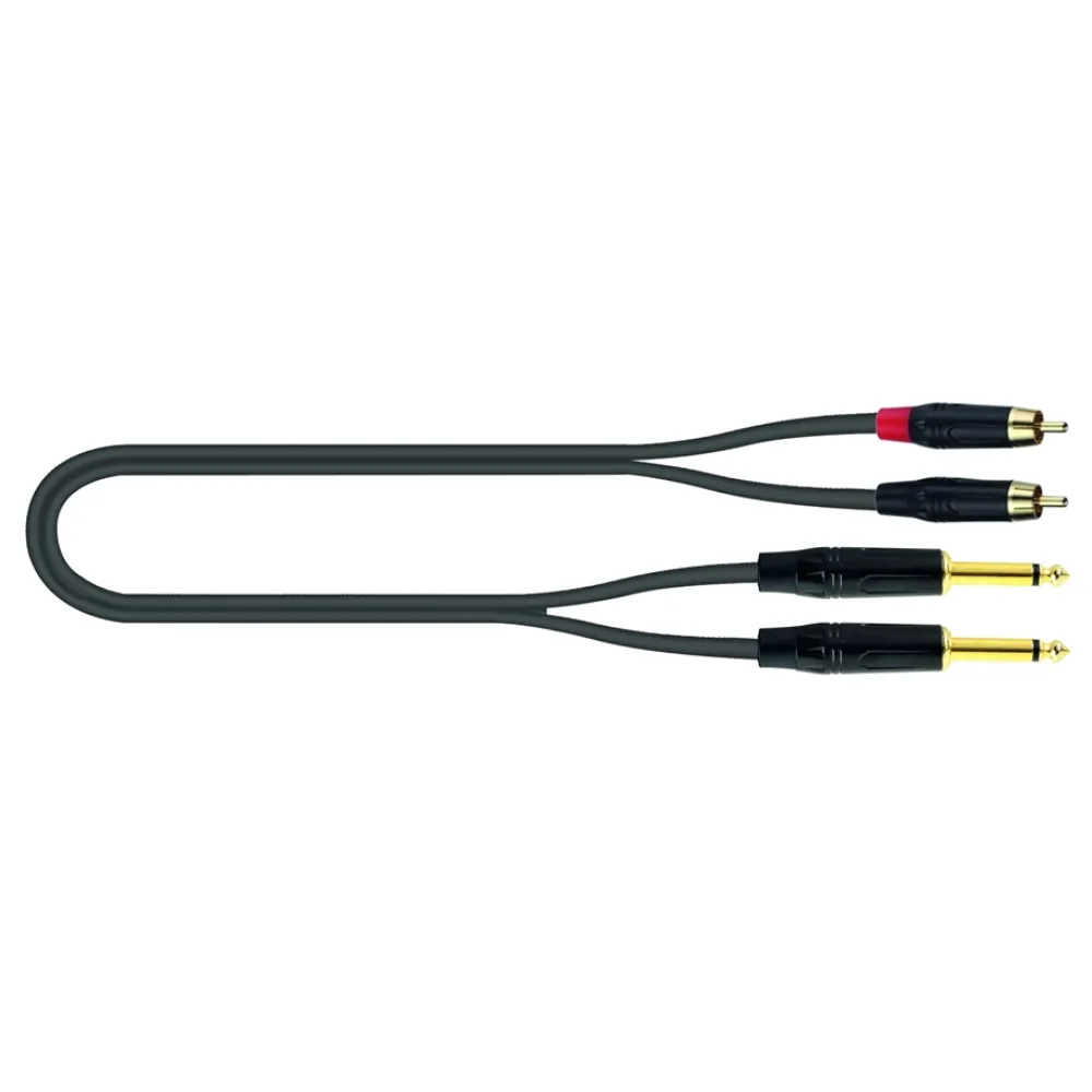 JUST 2RCA2J 3 – Cavo Adattatore 2 RCA/2 Jack Mono – 3 metri