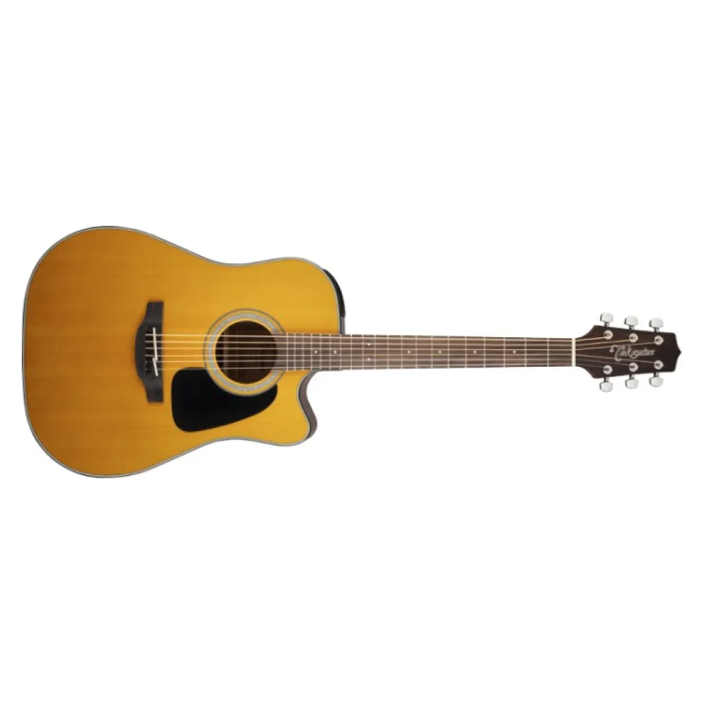 TAKAMINE DREADNOUGHT CTW ELET G SERIES