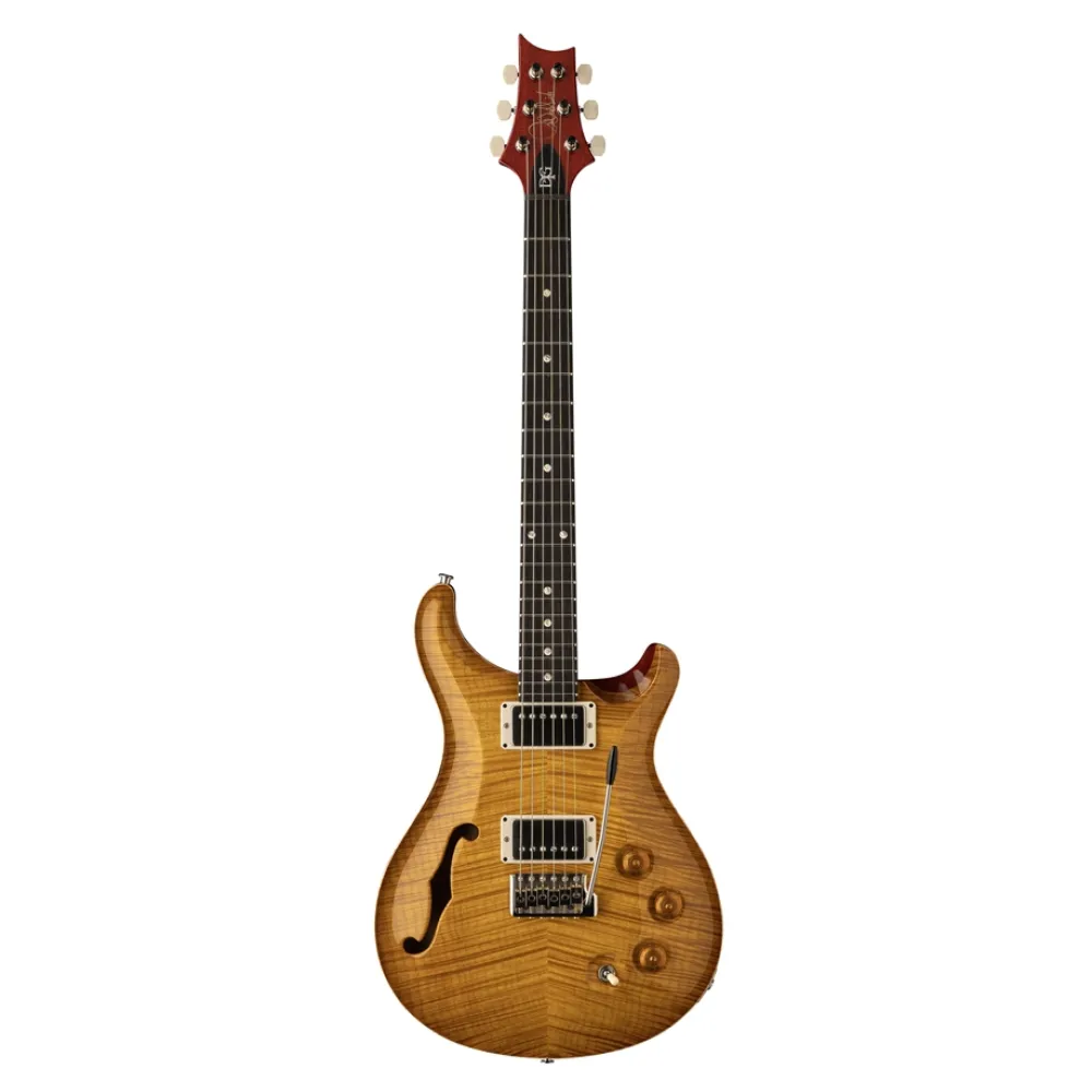 DGT Semi-Hollow Limited Edition